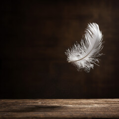 Floating Feather