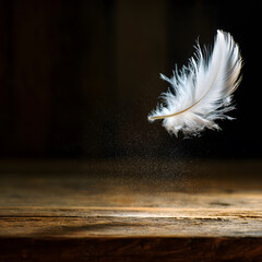 Floating Feather