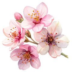 Elegant Watercolor Flowers Clipart: Peony, Orchid, and Sunflower Blooms for Spring & Summer Design