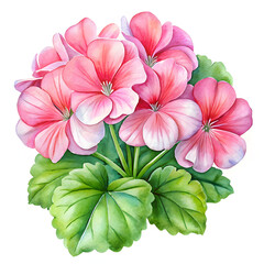 Elegant Watercolor Flowers Clipart: Peony, Orchid, and Sunflower Blooms for Spring & Summer Design