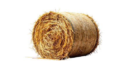 Round, golden hay bale with visible layers against a black backdrop