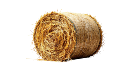 Round, golden hay bale with visible layers against a black backdrop