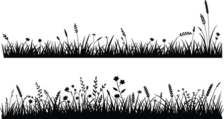 Wild grass and flower silhouette vector, black botanical strips, nature border design, meadow plants illustration, floral elements for decoration, white background © Gita