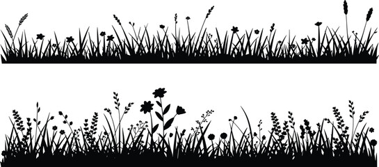 Wild grass silhouette, floral meadow border, nature vector illustration, black botanical design, decorative field plants, isolated elements for graphic design