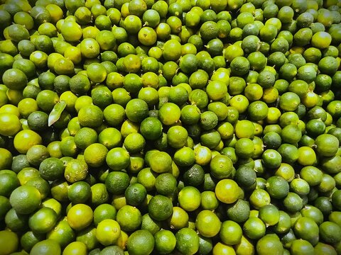 Overhead macro close-up of a massive, dense pile of small, vibrant green calamansi limes or key limes.