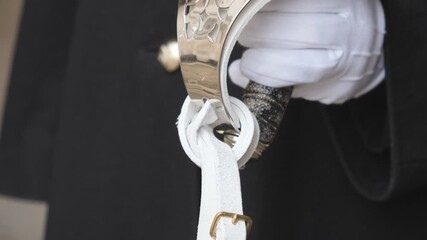 Close-up of a royal guard holding sward with gloved hand.
