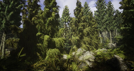 Sunlight filters through the tall trees in a dense forest filled with rich green foliage and ferns. Rocky terrain complements the vibrant vegetation surrounding the area.