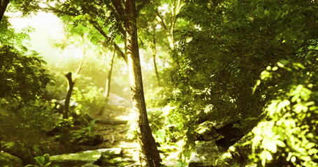 Fototapeta premium Lush greenery surrounds a serene pathway illuminated by gentle sunlight. The atmosphere feels fresh and alive, inviting exploration in the calm of early morning.