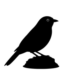 Black bird silhouette icon