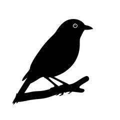 Bird on branch vector art