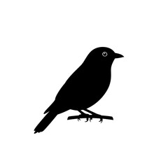 Bird silhouette perched