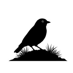 Bird silhouette on grass