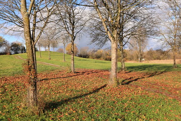 Naklejka premium Sonniger Herbsttag in Bad Dürrheim