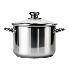 Gleaming stainless steel pot with glass lid and handles