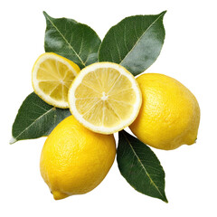 Fresh lemons and leaves arranged in a vibrant natural display