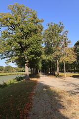 Sonniger Herbsttag in einem Landschaftspark in Hannover	