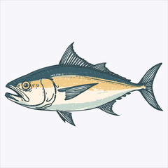 Vintage woodcut style illustration of a tuna fish species