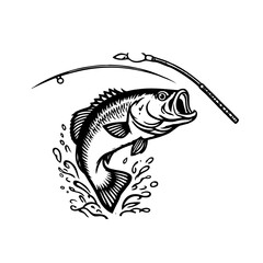 fish on a white background