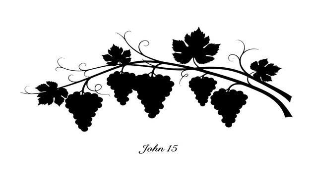 Black Vector Silhouette: Grapes and Vine (John 15)

