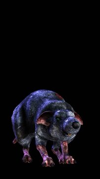 Seamless vertical video of walking rat, candles and Jack O&acute;lantern pumpkins isolated with alpha channel. Funny halloween background for events and parties.