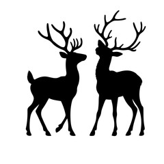 deer vector illustration