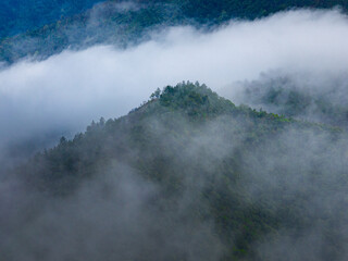 Aerial view of golden rice terraces at Mu Cang Chai town near Sapa city, North of Vietnam. Beautiful terraced rice field in harvest season in Yen Bai province.