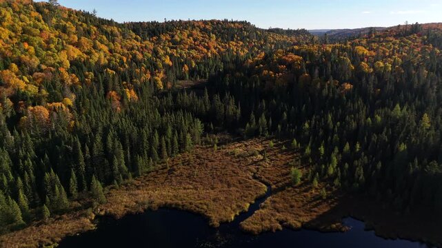 Aerial view of a colorful autumn forest with lake, river, and mountains at sunset in Mauricie, Quebec, Canada. Warm golden light illuminates the vibrant fall foliage and peaceful landscape.
