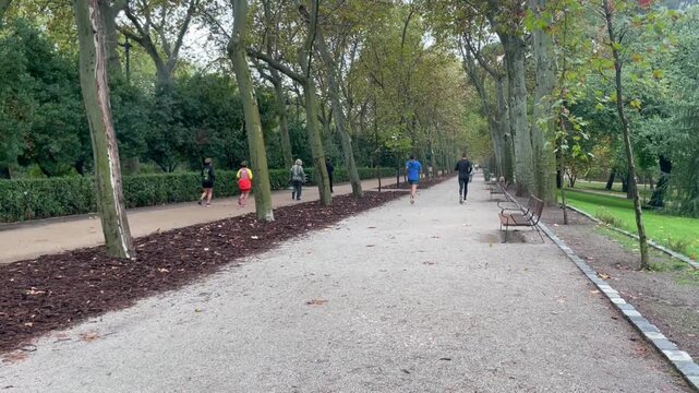 Corredores runner de footing por parejas por dos caminos distintos de tierra del parque con &aacute;rbol y naturaleza