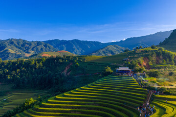 Aerial view of golden rice terraces at Mu Cang Chai town near Sapa city, North of Vietnam....