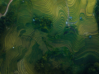 Aerial view of golden rice terraces at Mu Cang Chai town near Sapa city, North of Vietnam. Beautiful terraced rice field in harvest season in Yen Bai province.