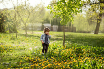 Little Child in Denim Jacket Standing Among Dandelions in Spring Park