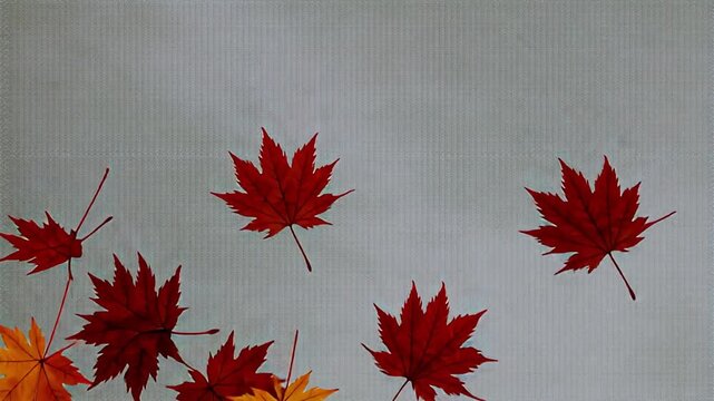 Falling maple leaves create a stunning autumn background with vibrant colors and a modern, elegant feel perfect for seasonal designs. Ai generative video