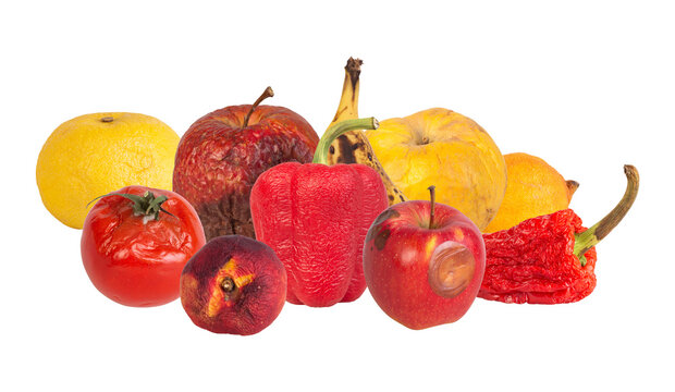 unattractive assortment of decaying fruits and vegetables highlighting decomposition and waste, ideal for environmental awareness campaigns and educational purposes