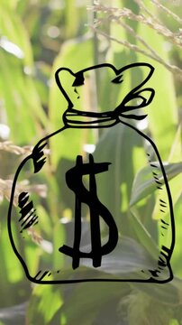 Animating money bag over green cornfield background