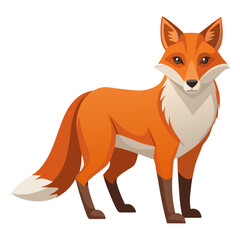 Obraz premium Vector illustration of a single fox isolated on white background