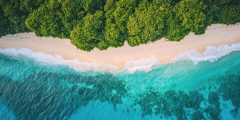 A serene tropical beach with white sand, turquoise water, and lush green trees, set against a clear blue sky.
