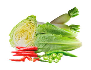 assorted farm-fresh vegetables ready for cooking and creative recipe development offering a natural aesthetic, ideal for food publications and health blogs