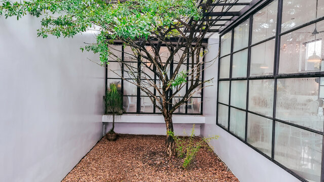 Green landscape nature view from window, interior window design with beautiful garden view at home