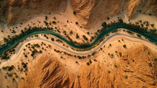 Winding Road and Green Oasis in Arid Desert Landscape, Aerial View