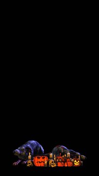 Seamless vertical video of dangerous rats, candles and Jack O&acute;lantern pumpkins isolated with alpha channel. Funny halloween background for events and parties.