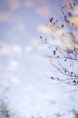 autumn photos, nature, sunset, autumn sky, leaves in the water