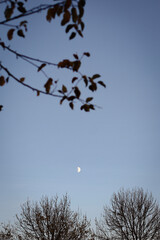 autumn photos, nature, sunset, autumn sky, leaves in the water