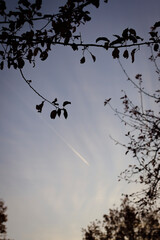 autumn photos, nature, sunset, autumn sky, leaves in the water