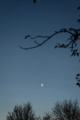 autumn photos, nature, sunset, autumn sky, leaves in the water