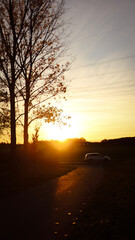 autumn photos, nature, sunset, autumn sky, leaves in the water