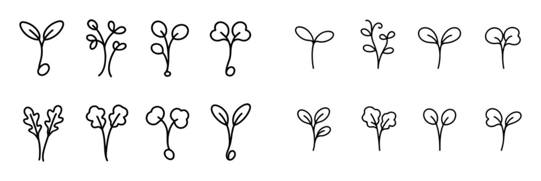 Microgreens Line Icons