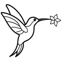 Hummingbird carrying a flower outline on transparent background