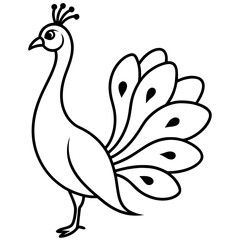 Outlined peacock with detailed tail on transparent background