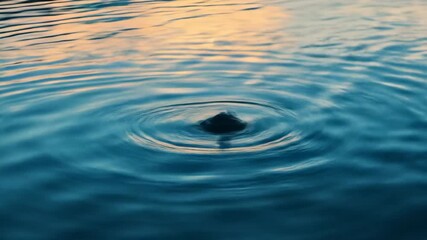 Water surface with ripples abstract patterns and circular motion - Powered by Adobe