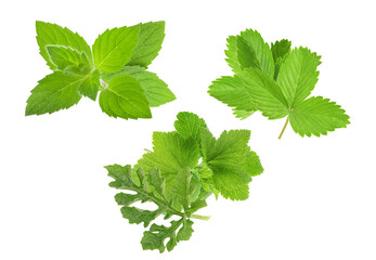 assorted culinary herbs showcasing vibrant green textures, symbolizing freshness and gastronomic innovation, capturing the essence of natural flavor enhancement